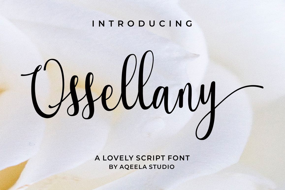 Ossellany Script example image 1