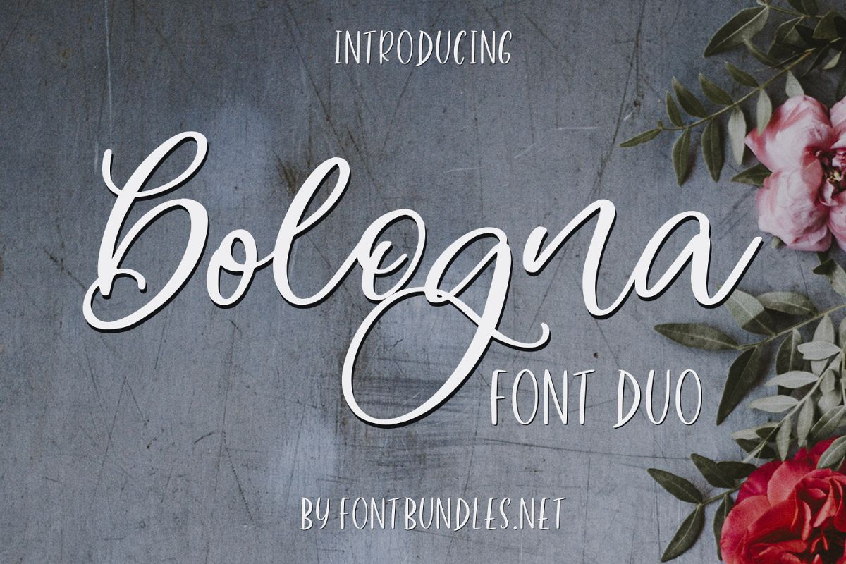 Bologna Font Duo example image 1