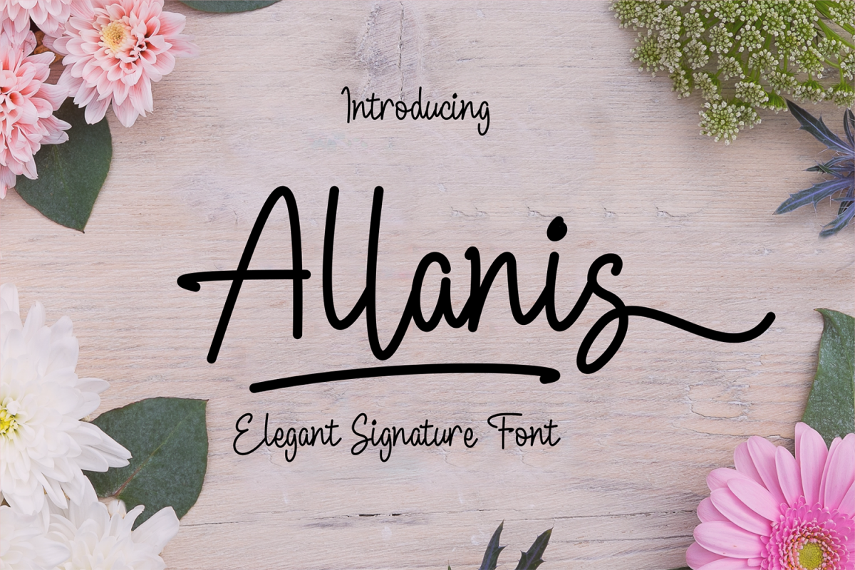 Allanis example image 1