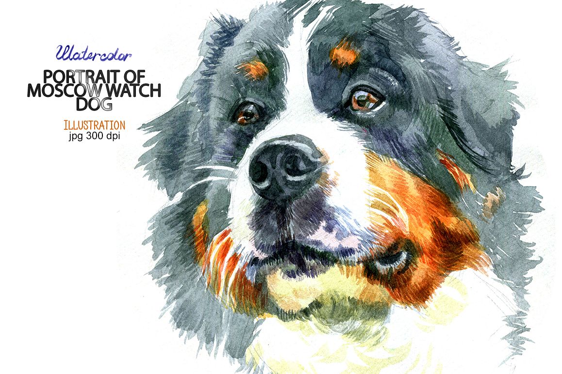 Watercolor Moscow watchdog portrait example image 1