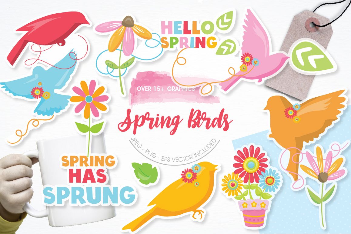 Spring Birds graphics and illustrations example image 1