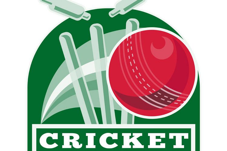 cricket sports ball wicket example image 1