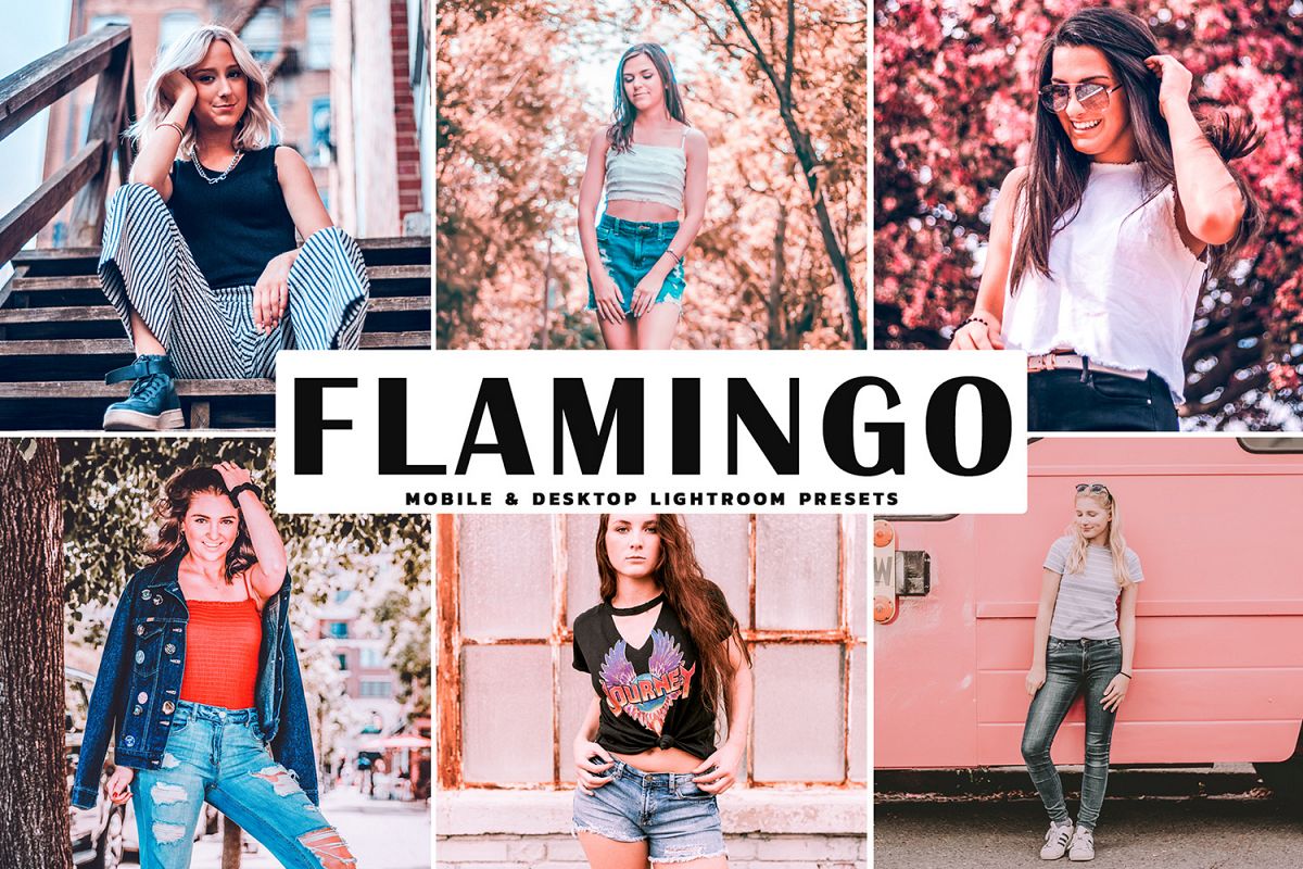 Flamingo Mobile & Desktop Lightroom Presets example image 1