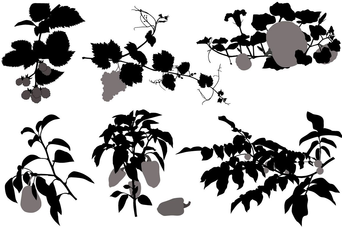 Vegetables, fruits and berry example image 1