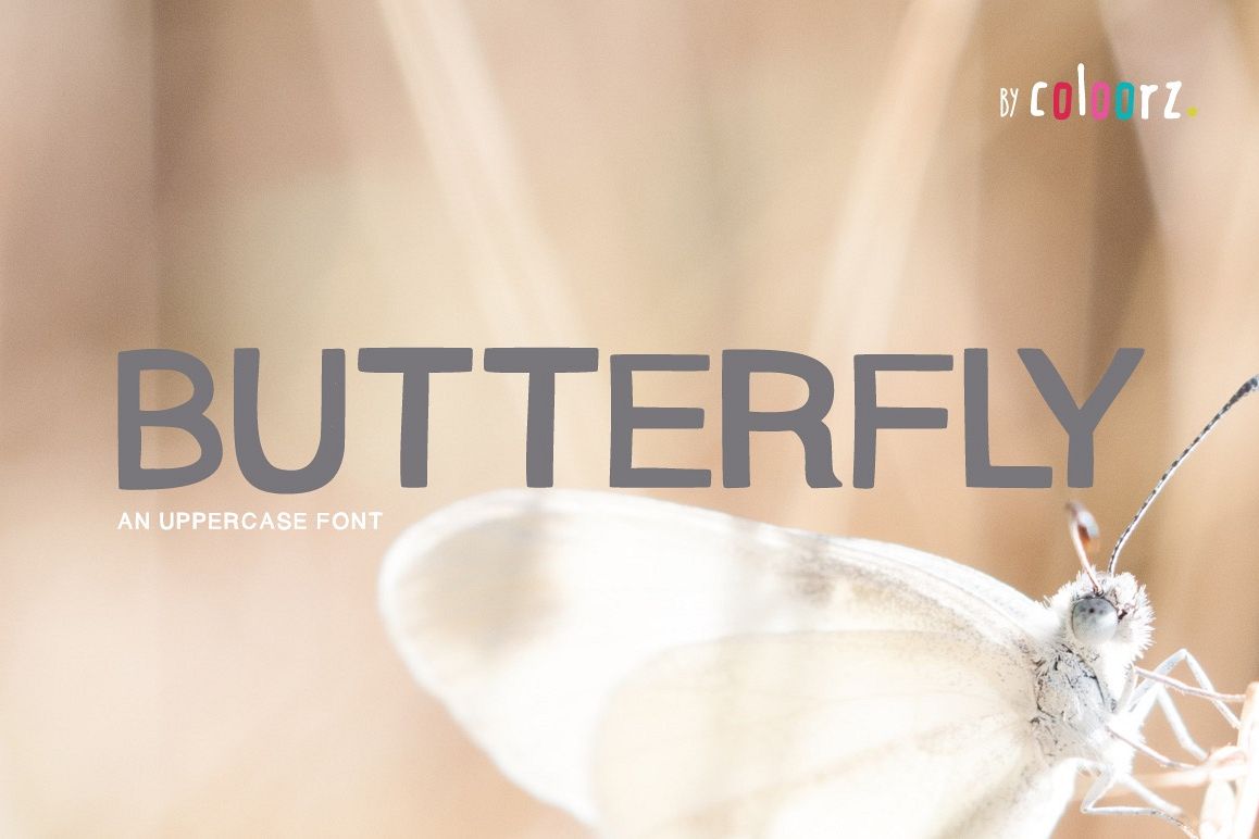 Butterfly Font example image 1