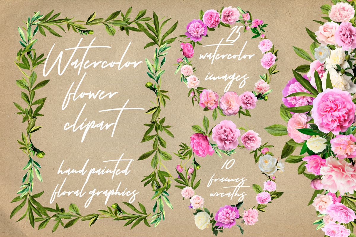 Watercolor Peonies Flowers Clip Art example image 1