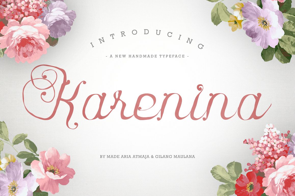 Karenina Script Font + Cute Vectors example image 1
