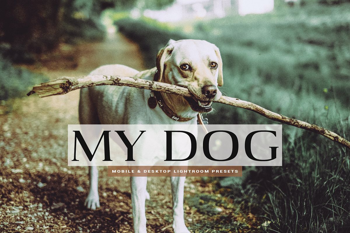 My Dog Mobile and Desktop Lightroom Presets example image 1