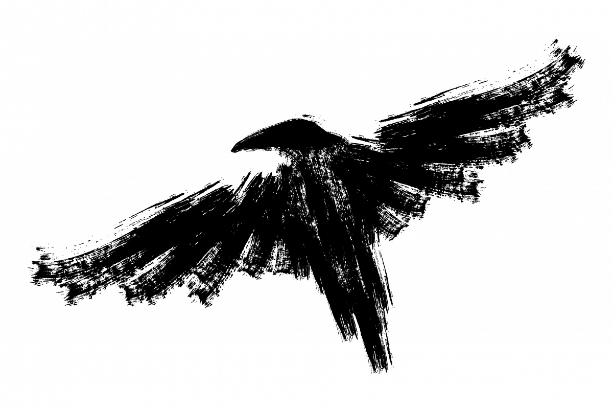 Black raven. Ink crow illustration. example image 1