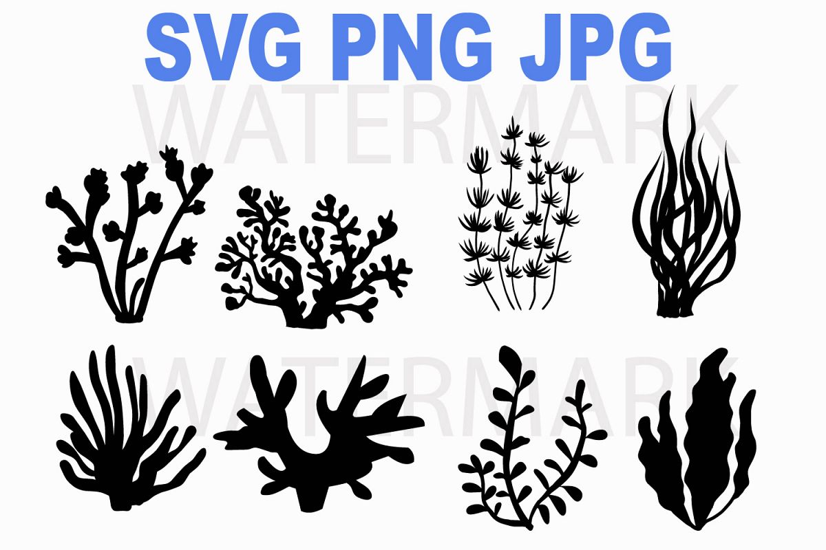 Coral under the sea - SVG PNG JPG (127299) | Illustrations | Design Bundles