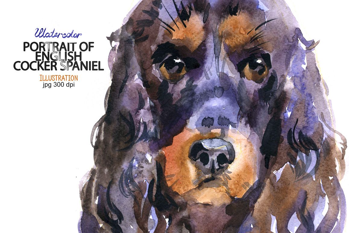 Watercolor English Cocker Spaniel example image 1