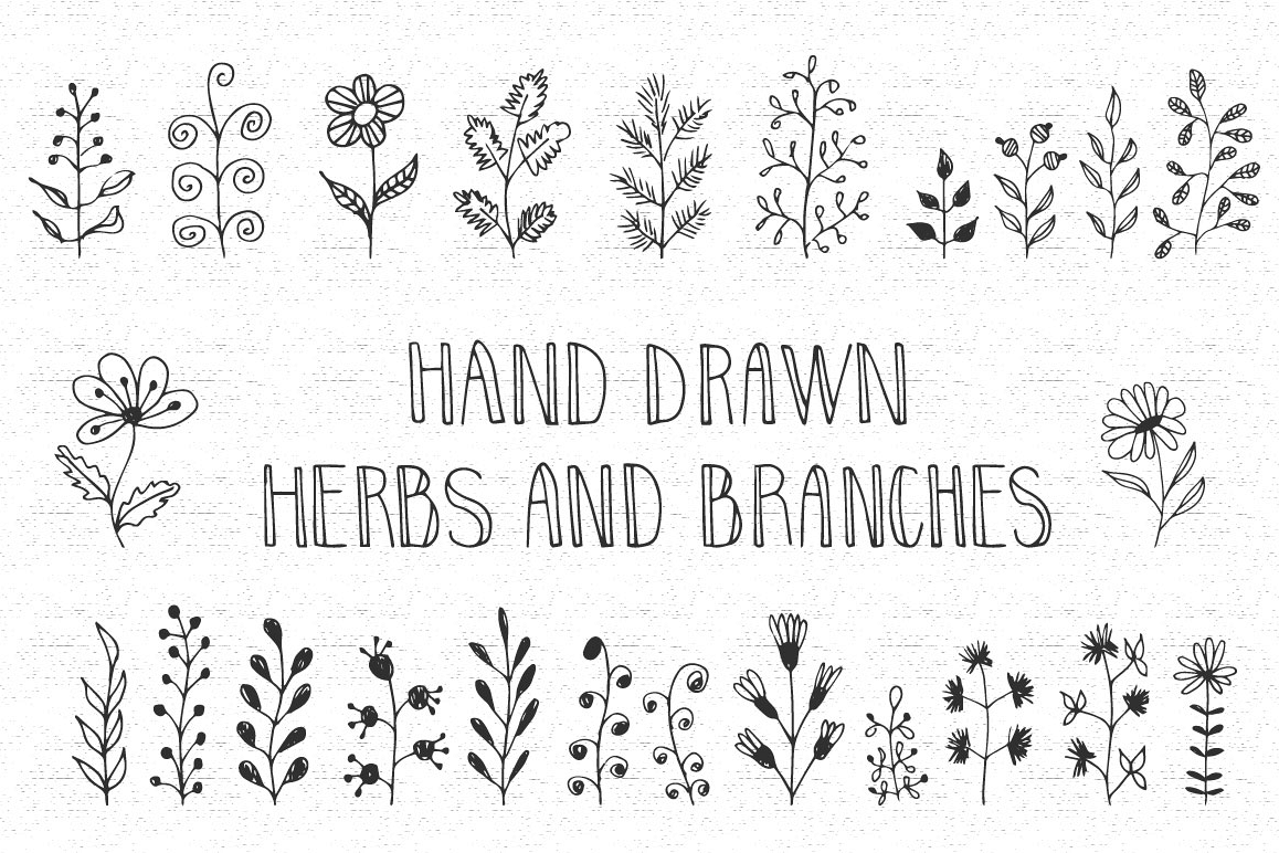 Hand drawn herbs and branches example image 1