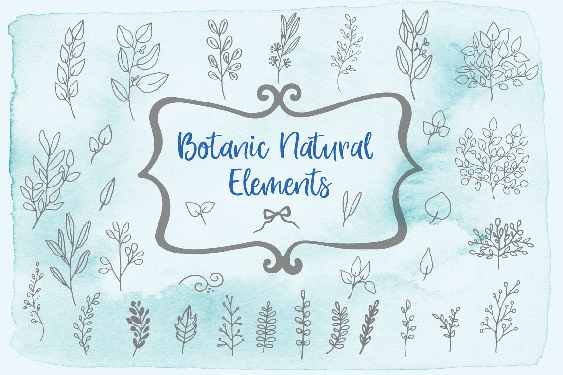 Botanic Natural Elements example image 1