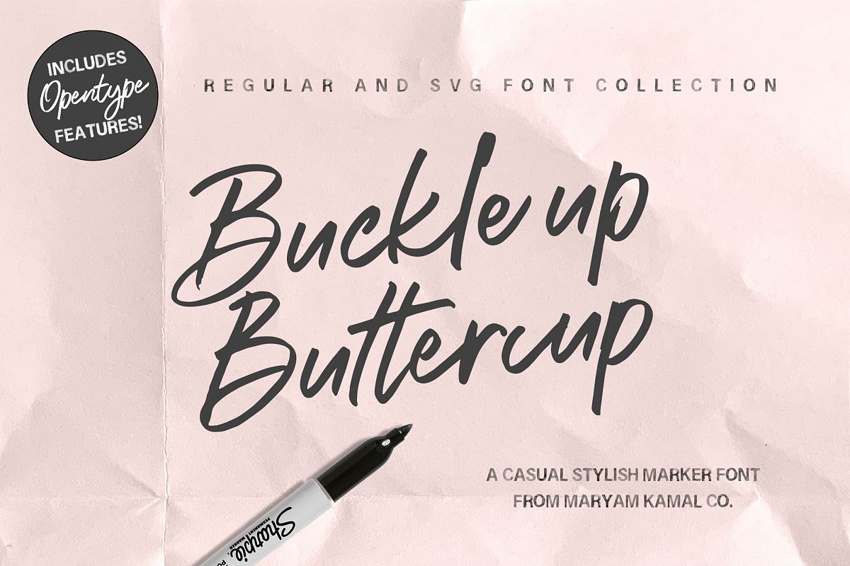 Buckle up Buttercup Marker Font example image 1