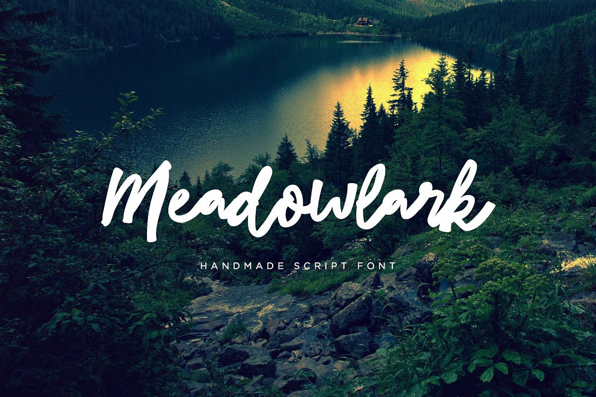 Meadowlark Script Font example image 1