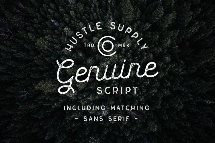 Genuine Script - Textured Type Duo example image 1