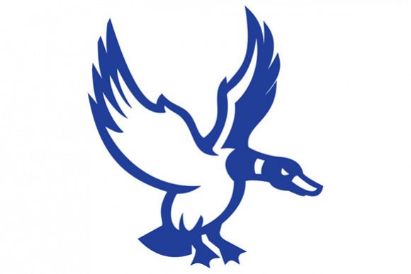Mallard Duck Wings Landing Side Retro example image 1
