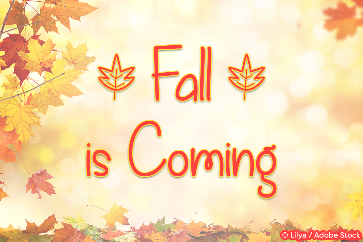 Fall is Coming example image 1