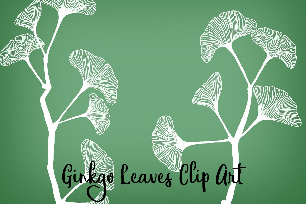 Ginkgo Leaves Clip Art, Vectors, PNGs and Digital Brushes example image 1