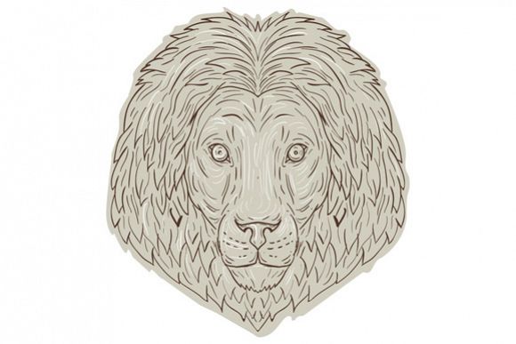 Lion Big Cat Head Mane Drawing example image 1