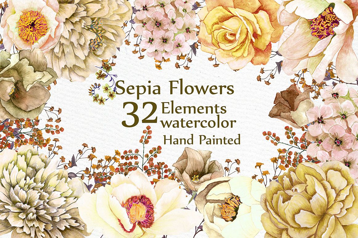 Watercolor Sepia flowers Clipart example image 1