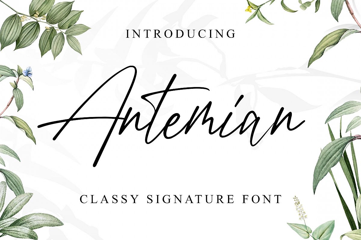 Antemian Classy Signature Font example image 1