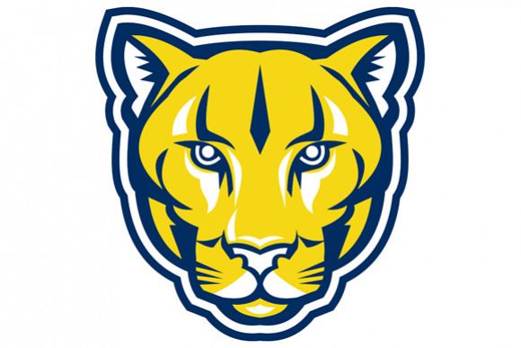 Cougar Mountain Lion Head Retro example image 1