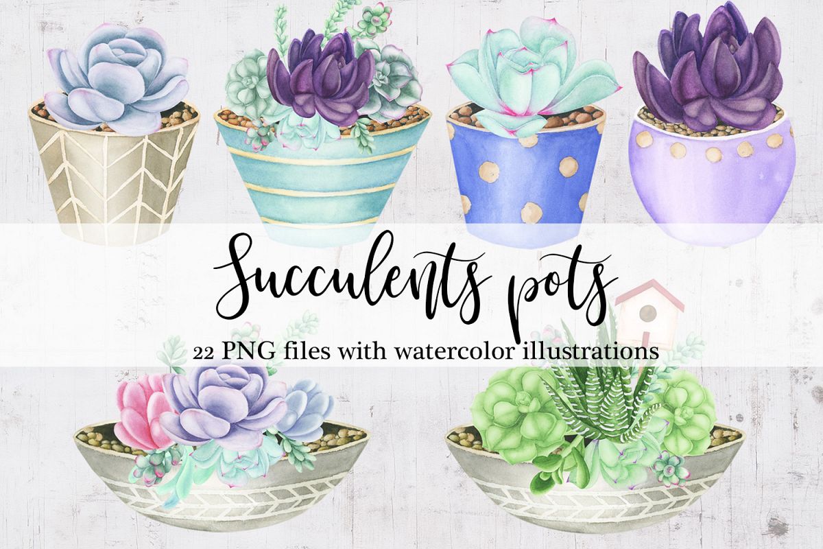 Watercolor Succulents Pots Clipart example image 1