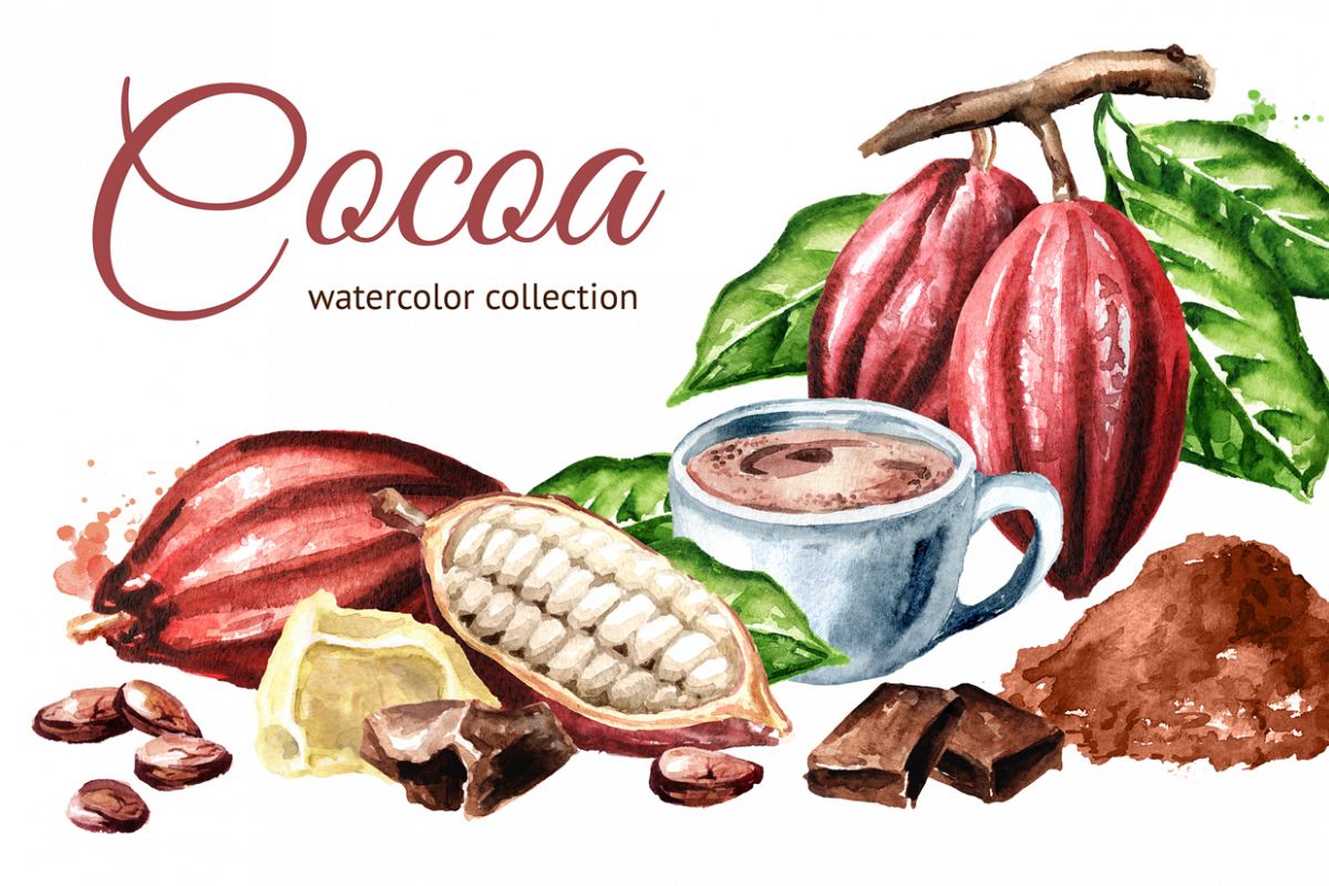 Cocoa. Watercolor collection example image 1