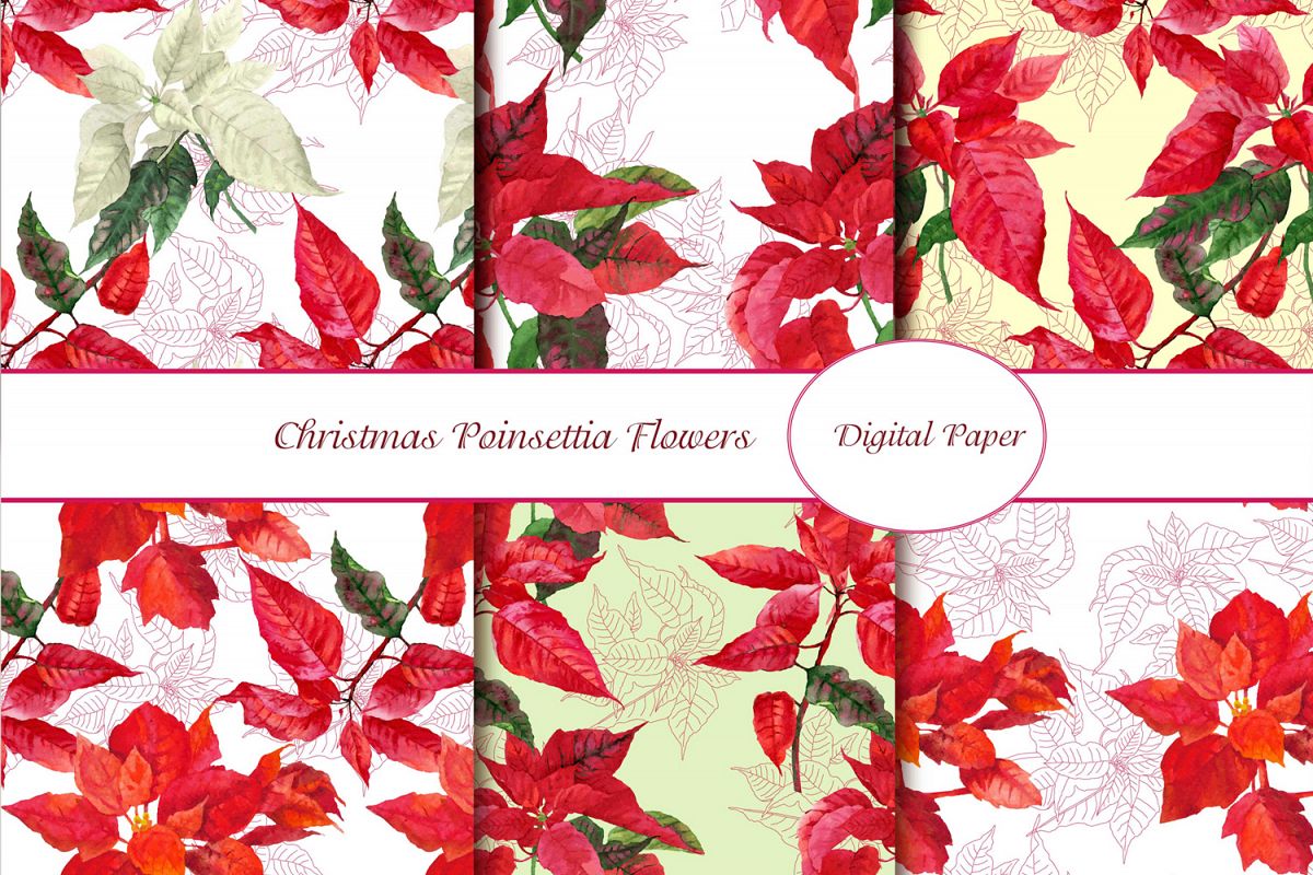 Digital Paper with Poinsettia example image 1