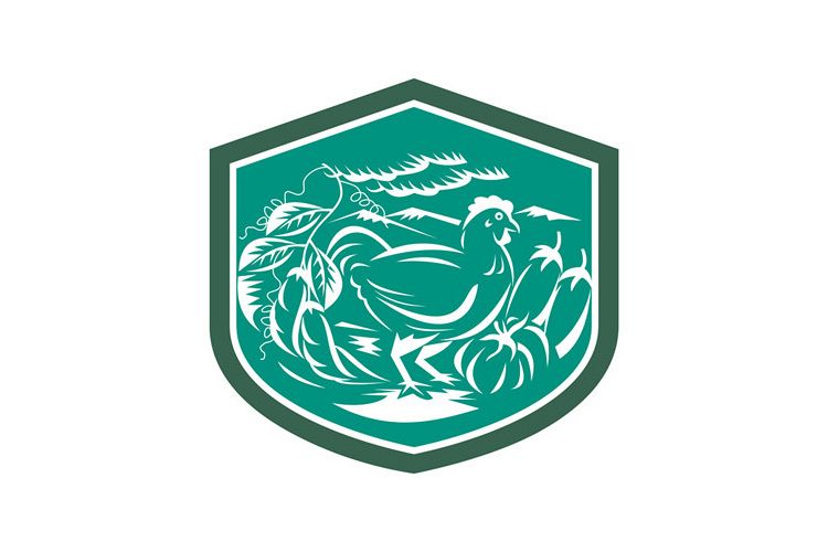 Hen Chicken Bean Eggplant Squash Shield Retro example image 1