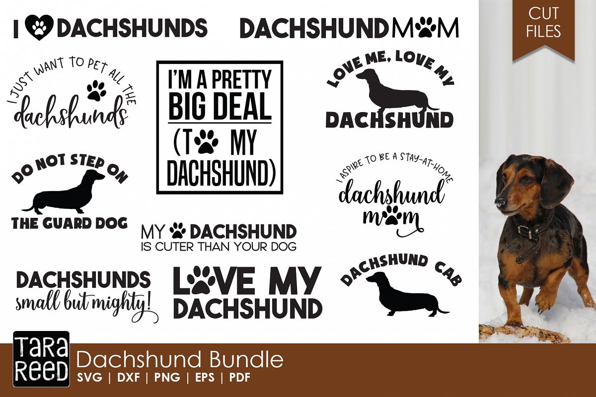 Dachshund Bundle