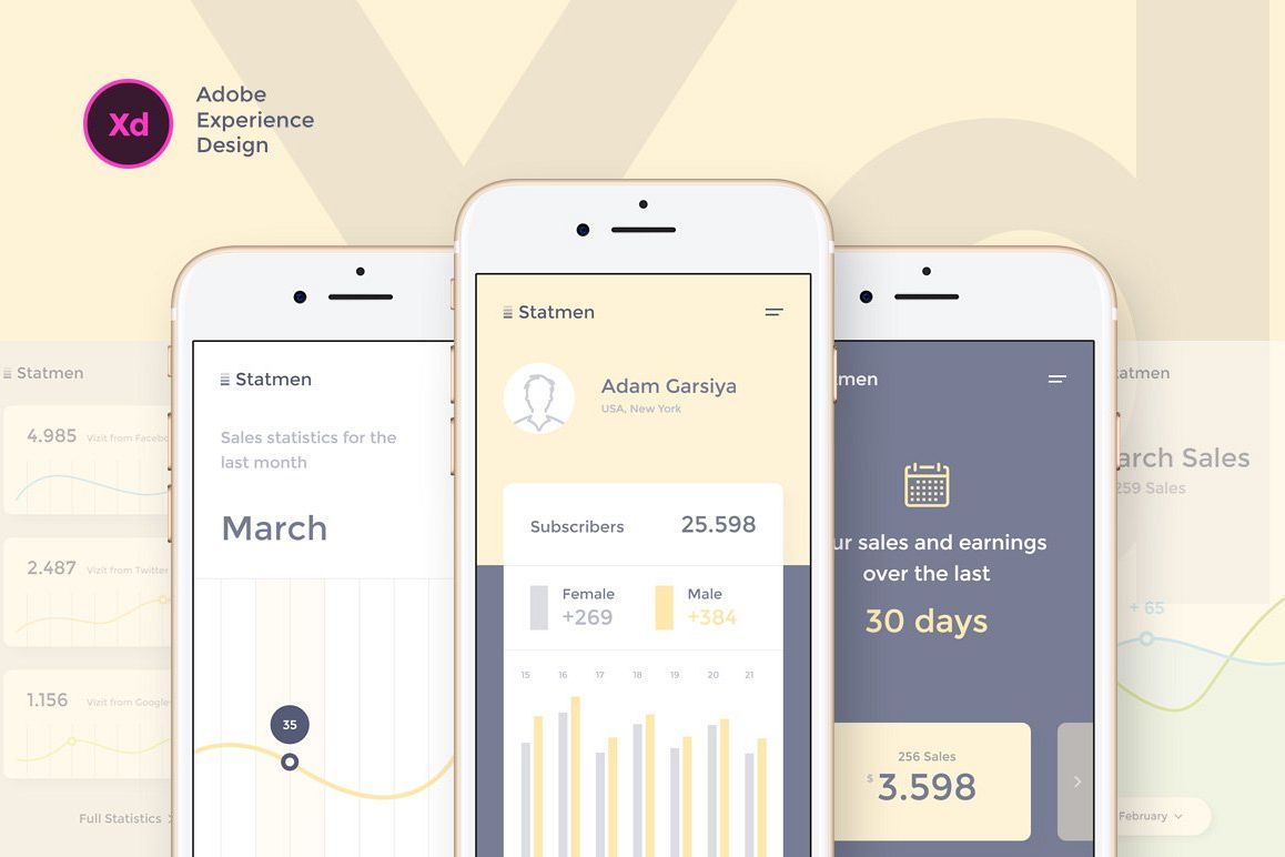 Statmen XD iOS Ui Kit - Statistic example image 1