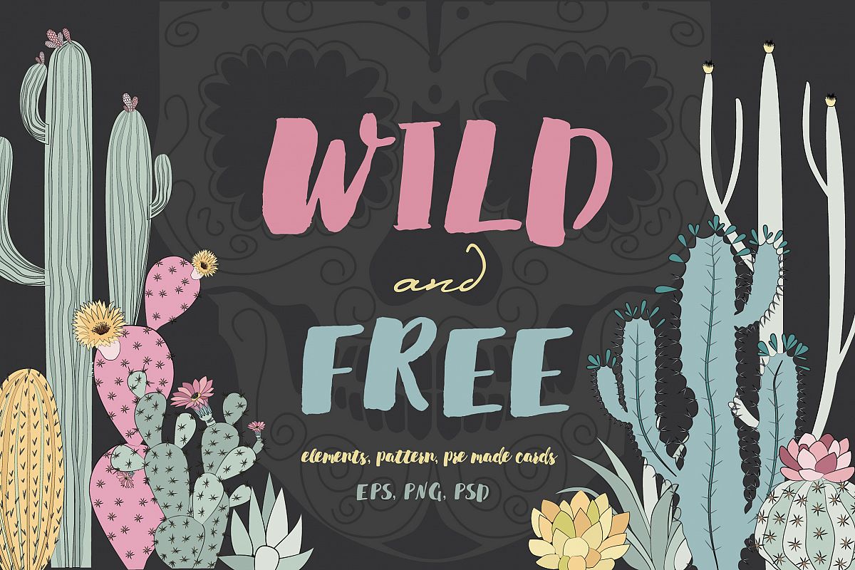 Wild & Free cactus collection example image 1