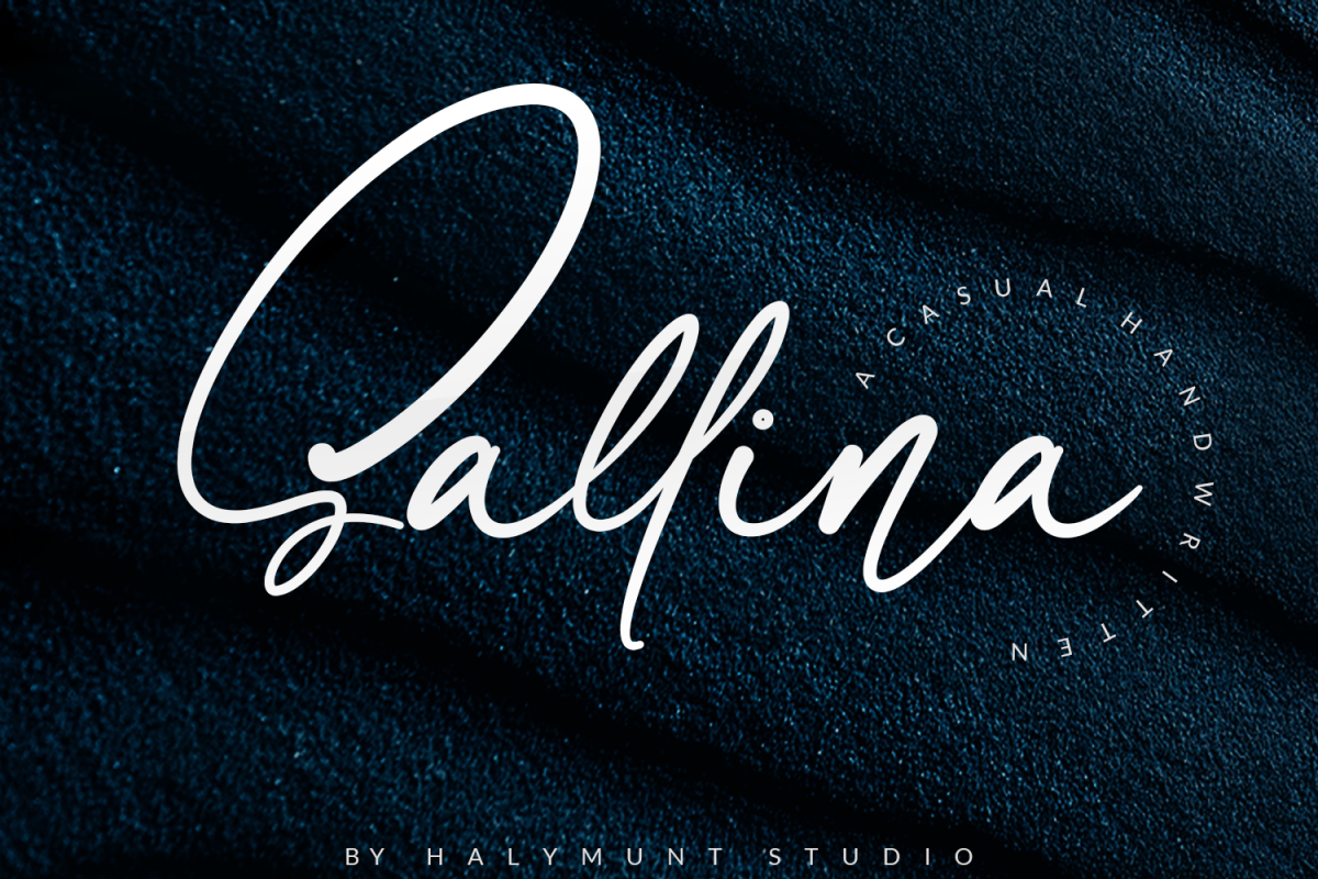 Sallina Script example image 1