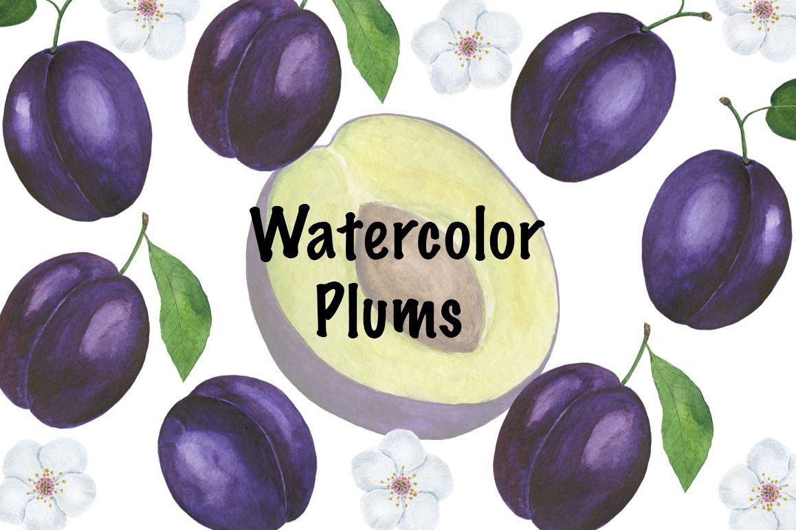 Set Plum watercolor example image 1
