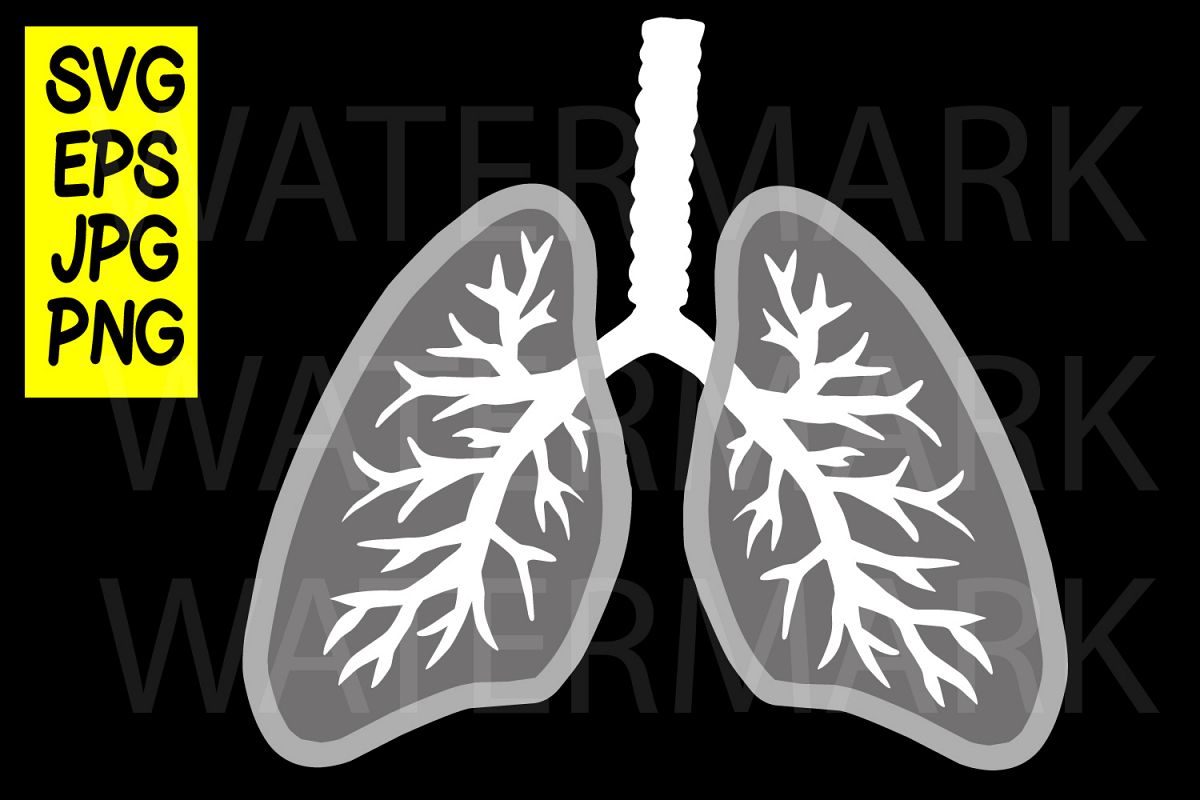 Lungs - SVG-EPS-JPG example image 1
