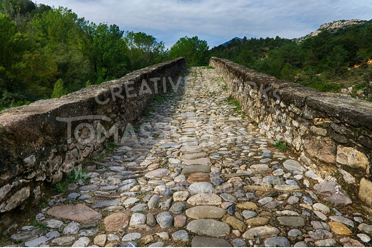Gothic Stone Bridge Over The River Llobregat 4 example image 1