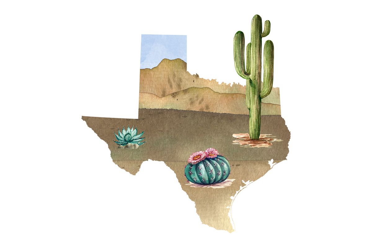 Texas Watercolor Image example image 1