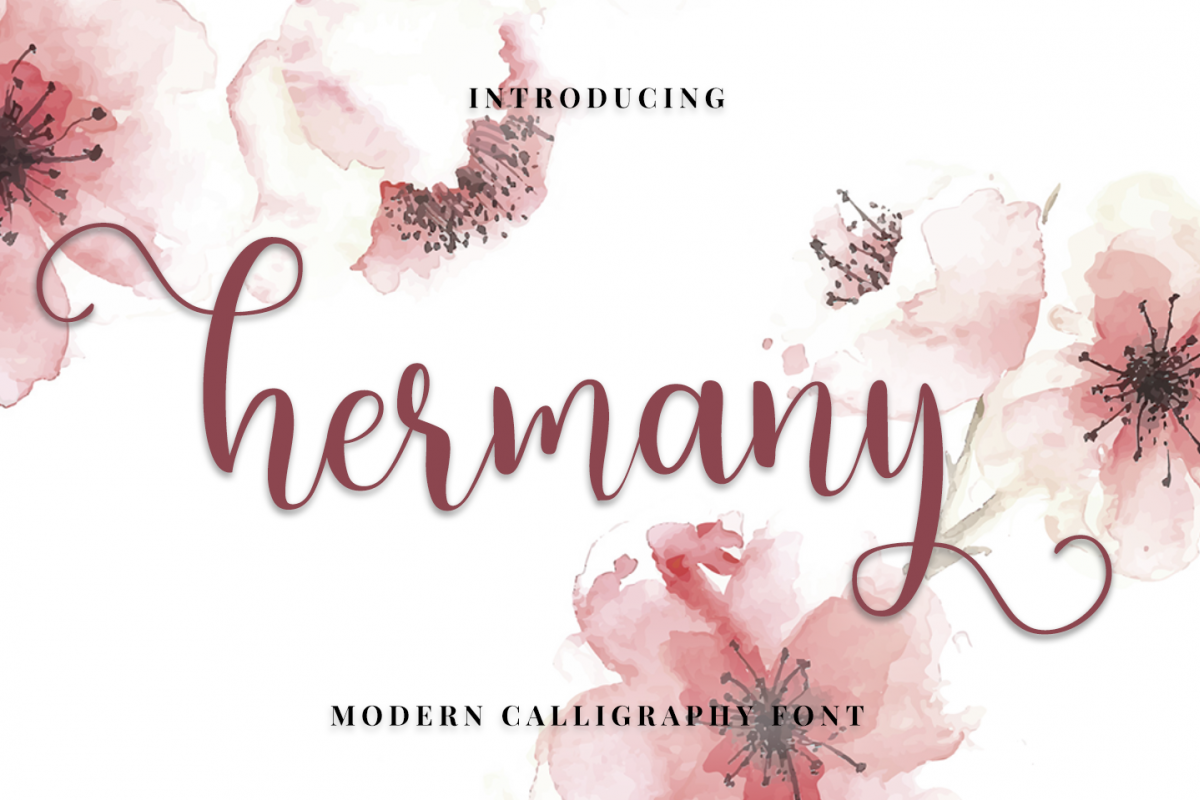 HERMANY example image 1