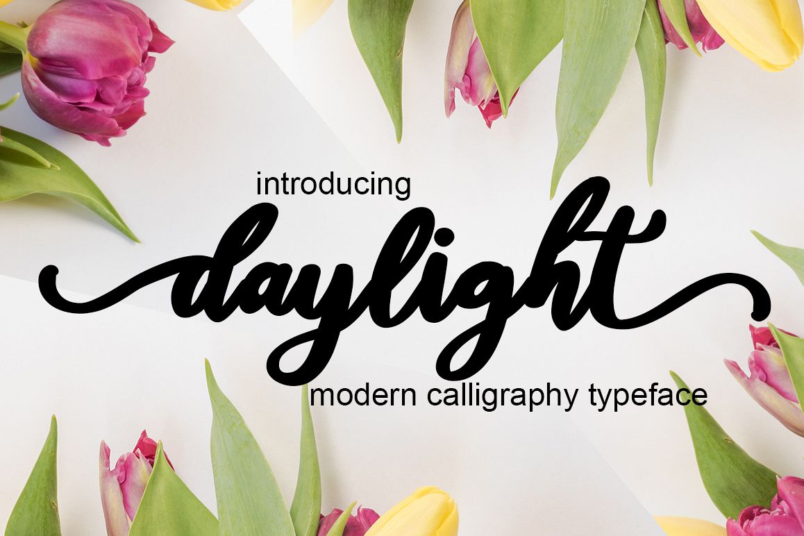 daylight script example image 1