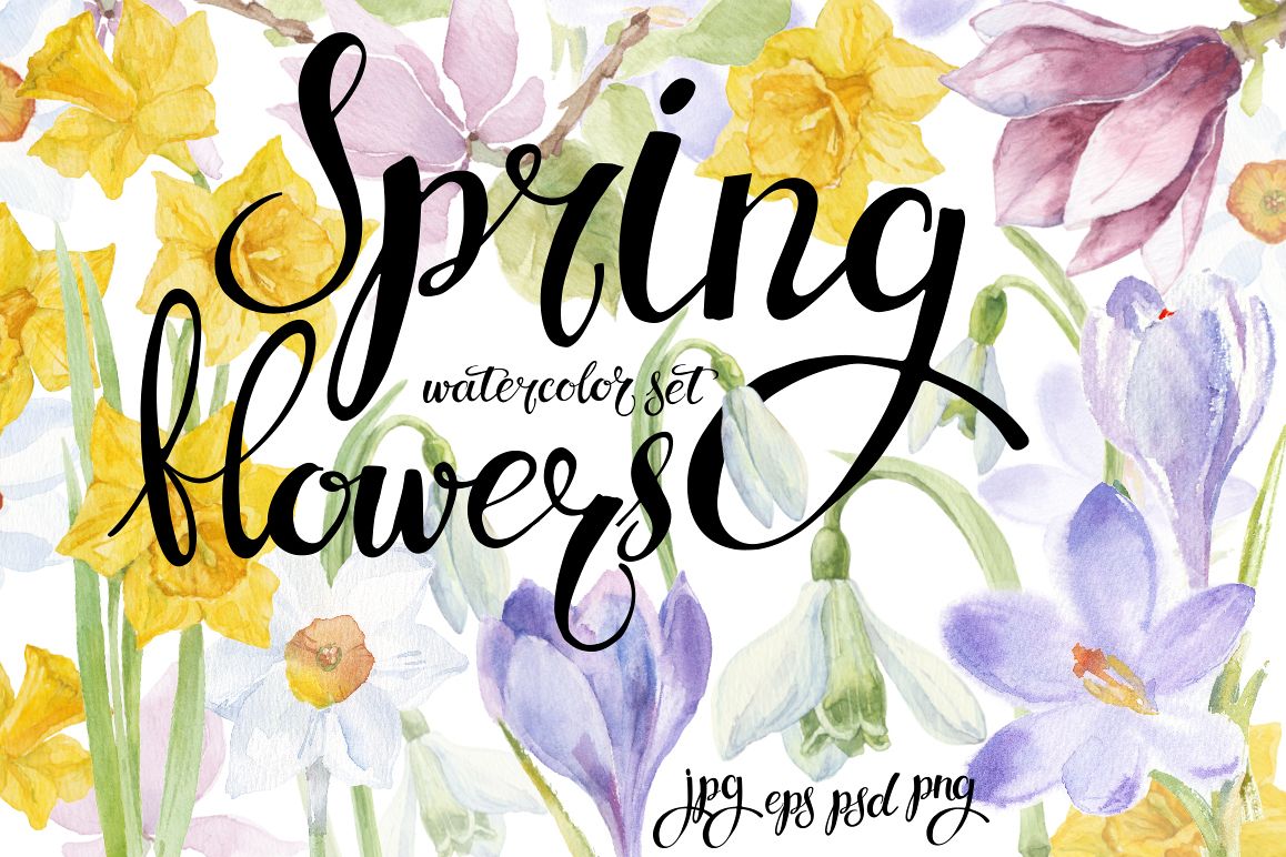 Spring flowers. Watercolor set. example image 1