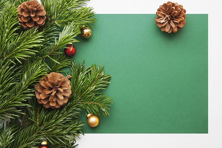 Christmas and New Year background with cones example image 1