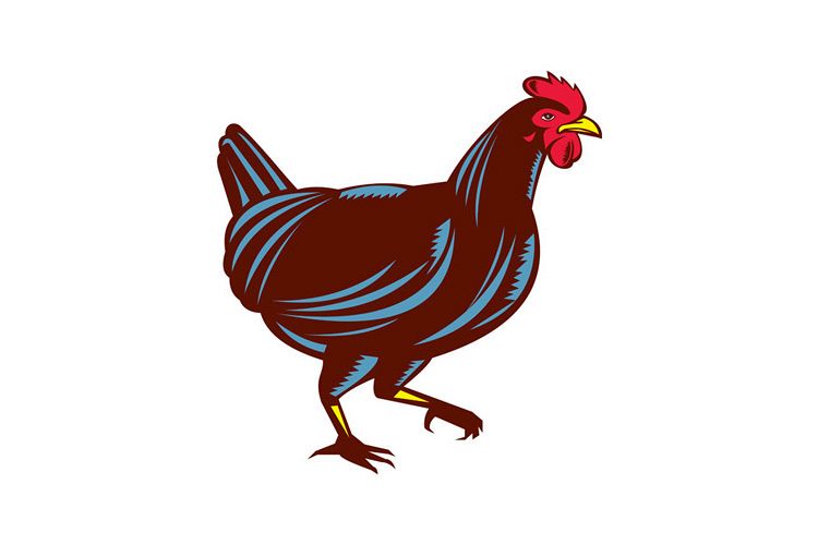 Chicken Hen Walking Side Woodcut example image 1