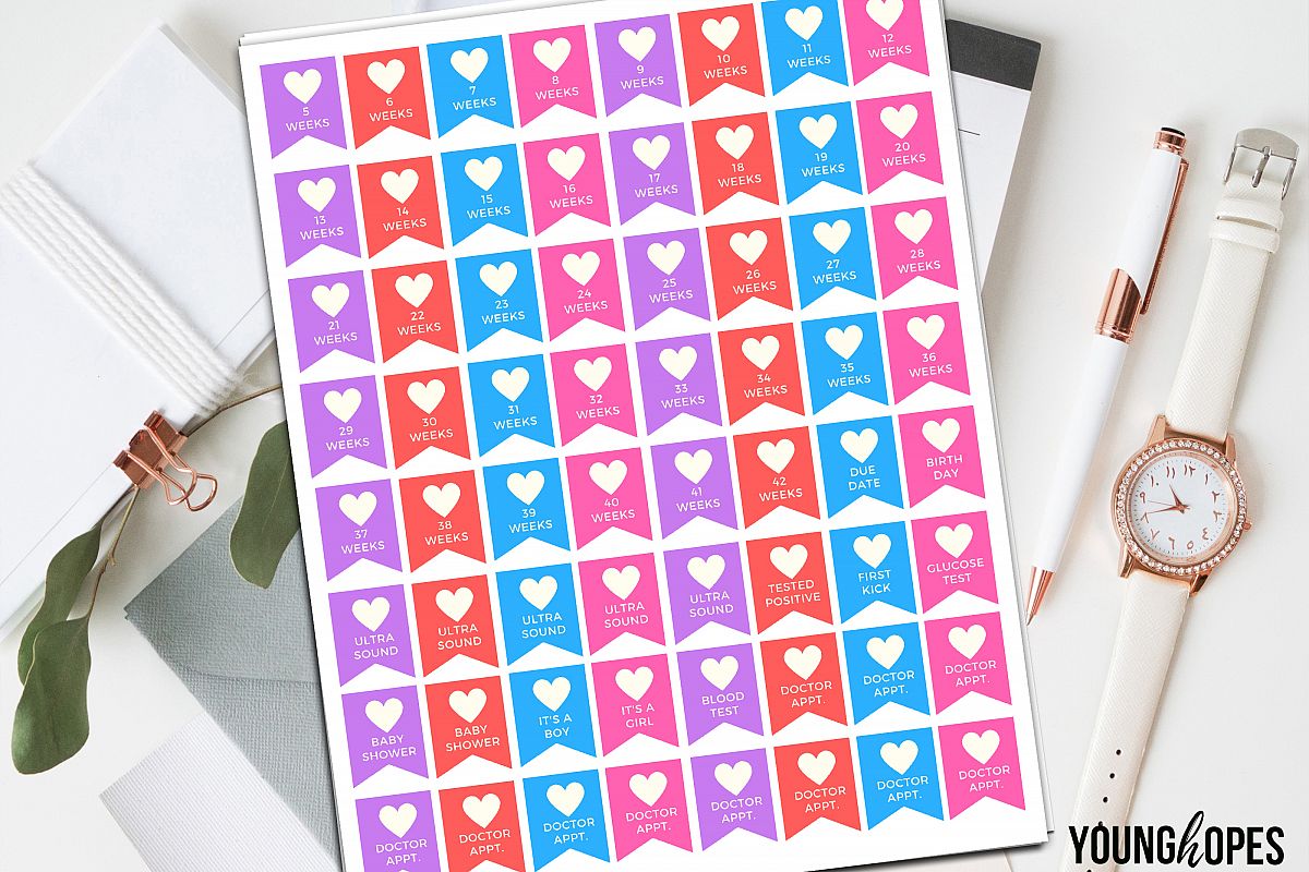 Weekly Pregnancy Planner Stickers Printable Stickers example image 1