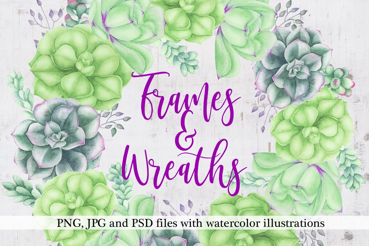 Succulents Frames and Wreaths example image 1