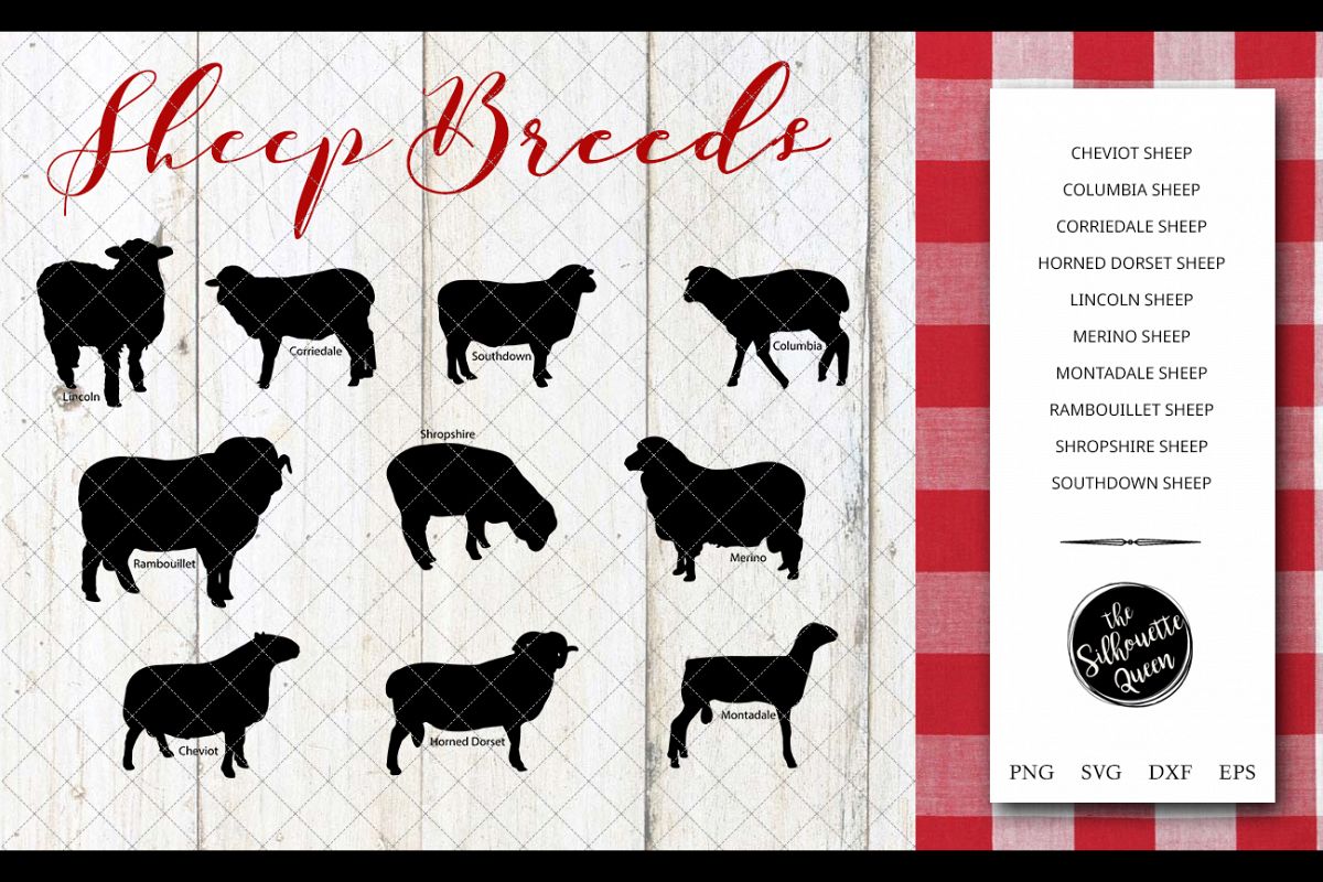 Sheep Breeds Silhouette Vector svg file, sheep svg cut file example image 1