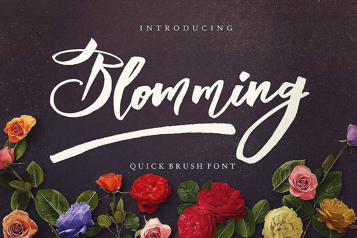 Blomming - Brush Font example image 1