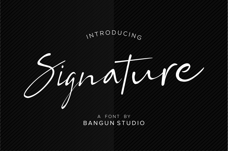 BS Signature example image 1