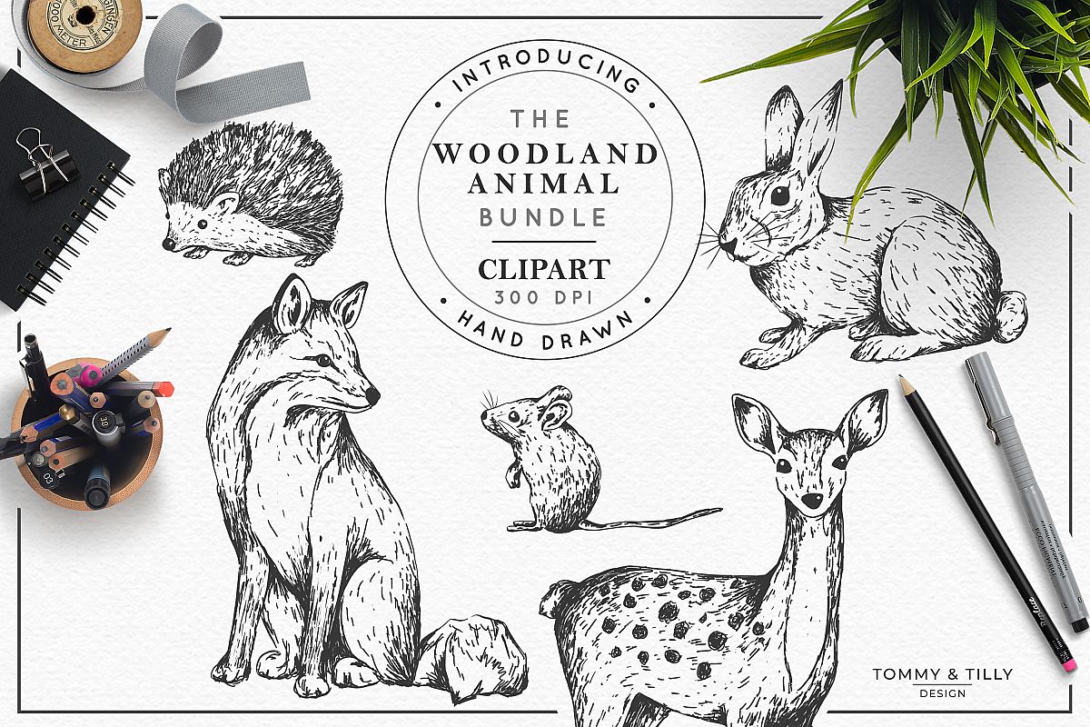 Hand Drawn Woodland Animals Bundle | High Quality Clipart | example image 1